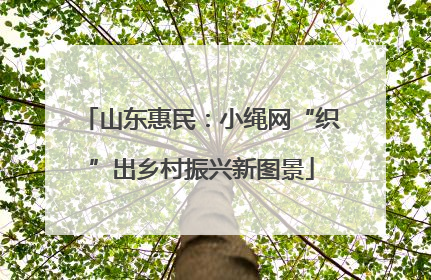 山东惠民：小绳网“织”出乡村振兴新图景