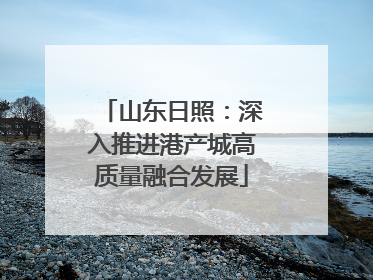 山东日照：深入推进港产城高质量融合发展