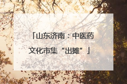 山东济南：中医药文化市集“出摊”