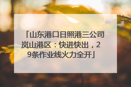山东港口日照港三公司岚山港区：快进快出，29条作业线火力全开