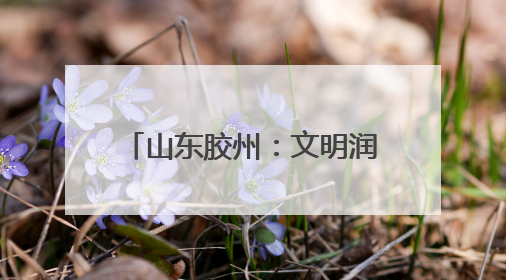 山东胶州：文明润乡野，新风扑面来