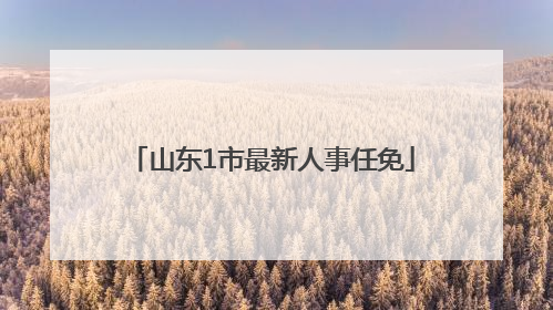 山东1市最新人事任免