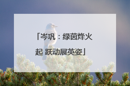 岑巩：绿茵烽火起 跃动展英姿