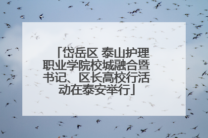 岱岳区 泰山护理职业学院校城融合暨书记、区长高校行活动在泰安举行