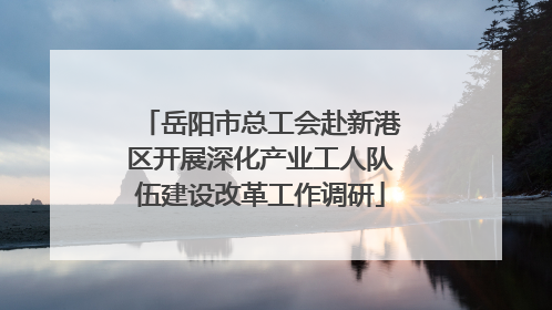 岳阳市总工会赴新港区开展深化产业工人队伍建设改革工作调研