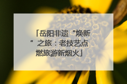 岳阳非遗“焕新”之旅：老技艺点燃旅游新烟火