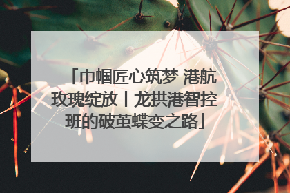 巾帼匠心筑梦 港航玫瑰绽放丨龙拱港智控班的破茧蝶变之路