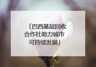 巴西基层回收合作社助力城市可持续发展