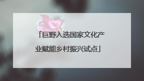 巨野入选国家文化产业赋能乡村振兴试点