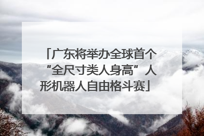 广东将举办全球首个“全尺寸类人身高”人形机器人自由格斗赛