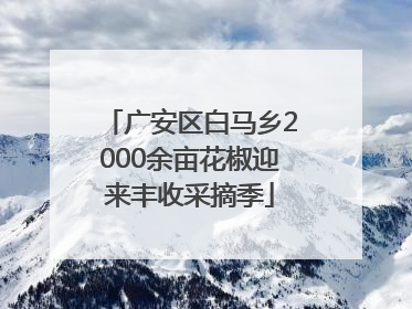 广安区白马乡2000余亩花椒迎来丰收采摘季