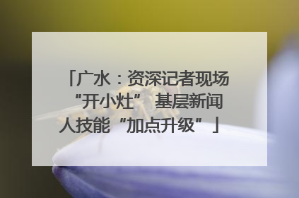 广水：资深记者现场“开小灶” 基层新闻人技能“加点升级”