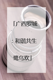广西罗城：和谐共生鹭鸟欢
