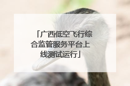广西低空飞行综合监管服务平台上线测试运行