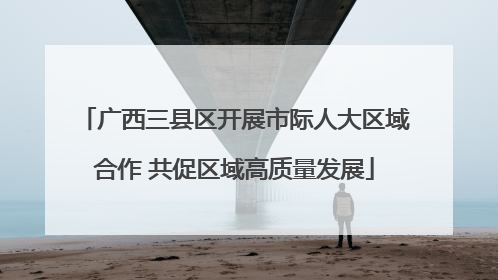 广西三县区开展市际人大区域合作 共促区域高质量发展