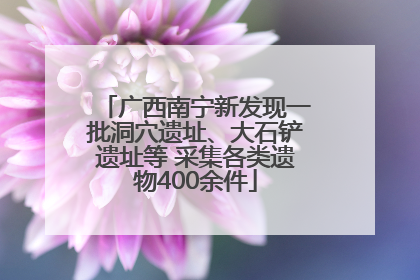 广西南宁新发现一批洞穴遗址、大石铲遗址等 采集各类遗物400余件