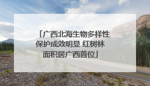 广西北海生物多样性保护成效明显 红树林面积居广西首位