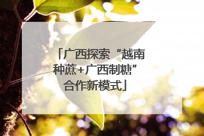 广西探索“越南种蔗+广西制糖”合作新模式