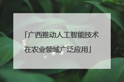 广西推动人工智能技术在农业领域广泛应用