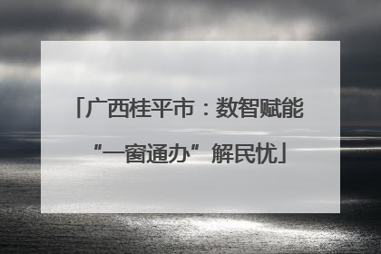 广西桂平市：数智赋能“一窗通办”解民忧