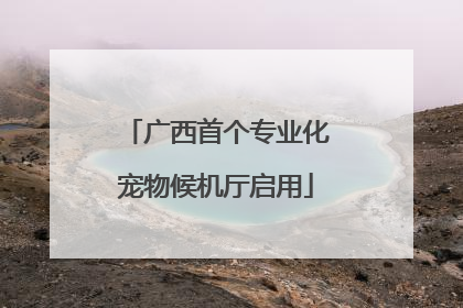 广西首个专业化宠物候机厅启用