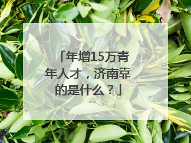 年增15万青年人才，济南靠的是什么？