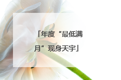 年度“最低满月”现身天宇