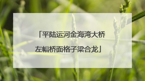 平陆运河金海湾大桥左幅桥面格子梁合龙
