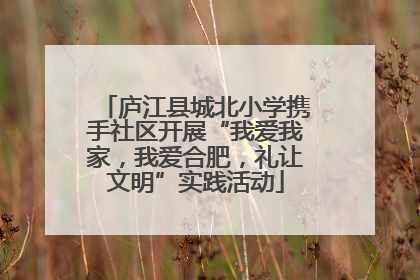 庐江县城北小学携手社区开展“我爱我家，我爱合肥，礼让文明”实践活动