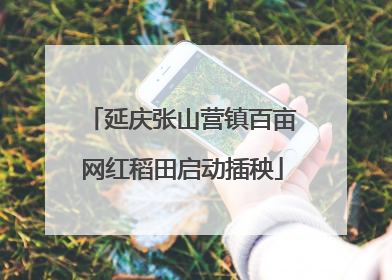 延庆张山营镇百亩网红稻田启动插秧