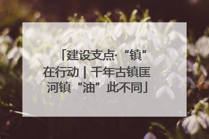 建设支点·“镇”在行动｜千年古镇匡河镇“油”此不同