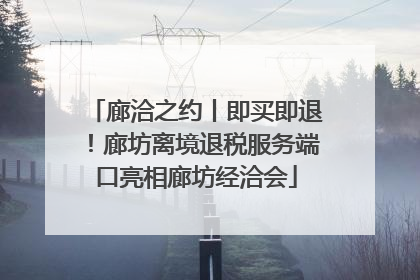 廊洽之约丨即买即退！廊坊离境退税服务端口亮相廊坊经洽会