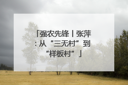 强农先锋丨张萍：从“三无村”到“样板村”
