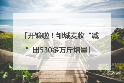 开镰啦！邹城麦收“减”出530多万斤增量