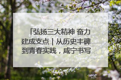 弘扬三大精神 奋力建成支点｜从历史丰碑到青春实践，咸宁书写精神传承新篇章