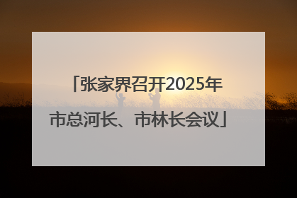 张家界召开2025年市总河长、市林长会议