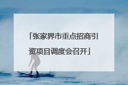 张家界市重点招商引资项目调度会召开