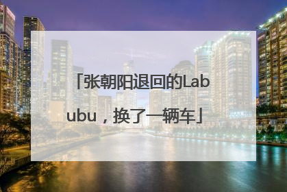 张朝阳退回的Labubu，换了一辆车