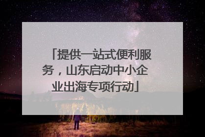 提供一站式便利服务，山东启动中小企业出海专项行动