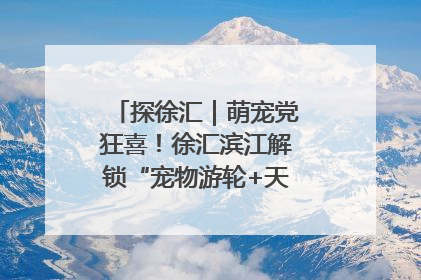 探徐汇｜萌宠党狂喜！徐汇滨江解锁“宠物游轮+天台乐园”双玩法