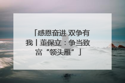 感恩奋进 双争有我丨董保立：争当致富“领头雁”
