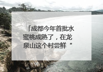 成都今年首批水蜜桃成熟了，在龙泉山这个村尝鲜“第一口”｜寻找和美乡村推荐官