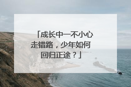 成长中一不小心走错路，少年如何回归正途？
