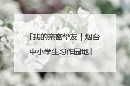 我的亲密挚友｜烟台中小学生习作园地