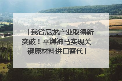 我省尼龙产业取得新突破！平煤神马实现关键原材料进口替代
