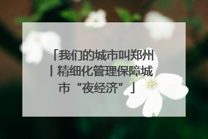 我们的城市叫郑州丨精细化管理保障城市“夜经济”