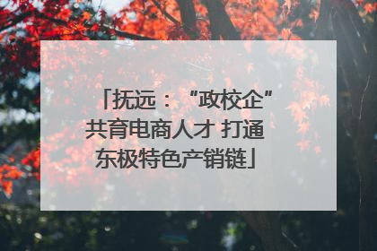 抚远：“政校企”共育电商人才 打通东极特色产销链