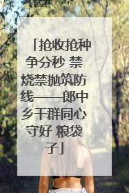 抢收抢种争分秒 禁烧禁抛筑防线——郎中乡干群同心守好 粮袋子