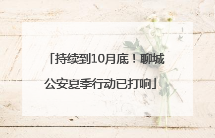 持续到10月底！聊城公安夏季行动已打响