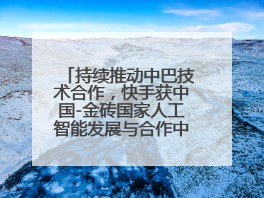 持续推动中巴技术合作，快手获中国-金砖国家人工智能发展与合作中心驻巴西成果转化中心授牌